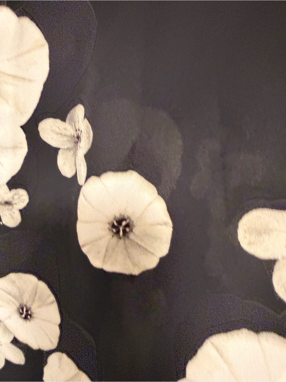 Talbots Sleeveless Black Floral Ruffle-Neck Top - Picture 4 of 4